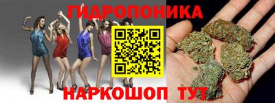spice Мариинск